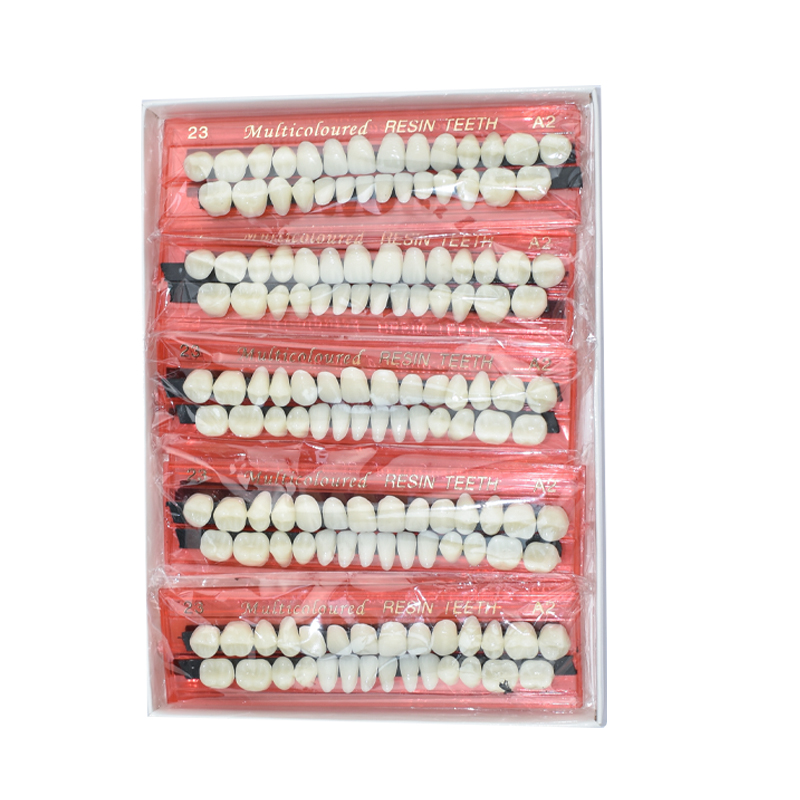 28 Teeth Dental Resin Denture  - Teeth Whitening Flash review and price