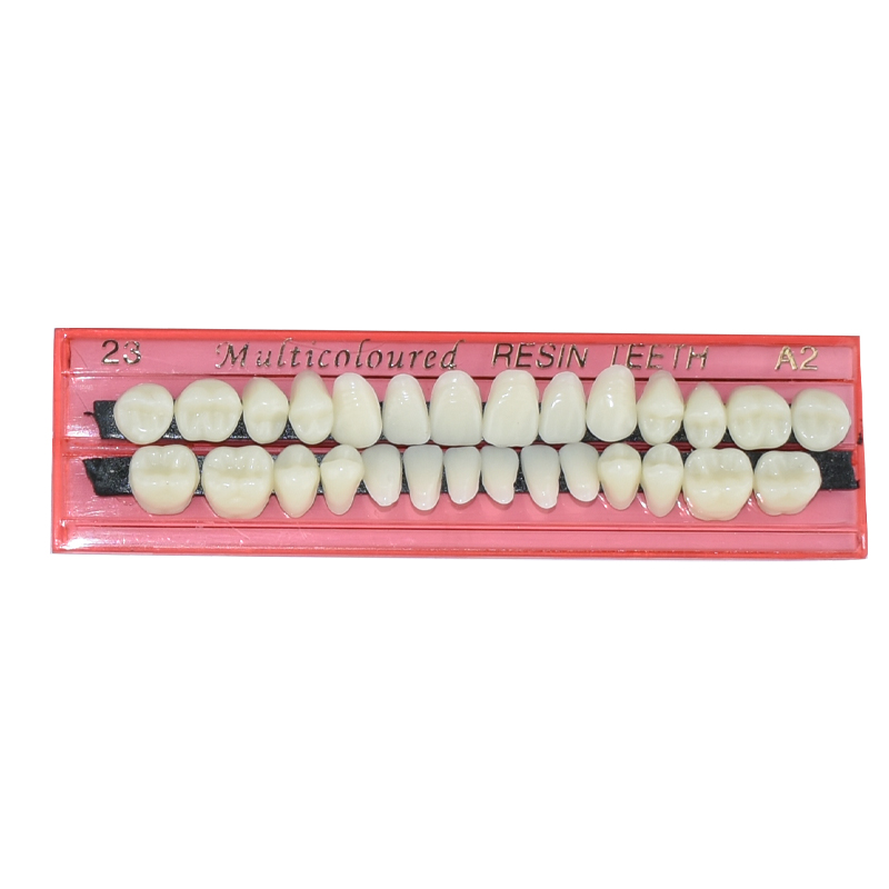 28 Teeth Dental Resin Denture  - Teeth Whitening Flash review and price