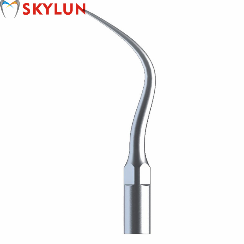 5PCS P4 Dental Ultrasonic Scal - Teeth Whitening Free review and price